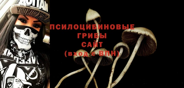твердый Армянск