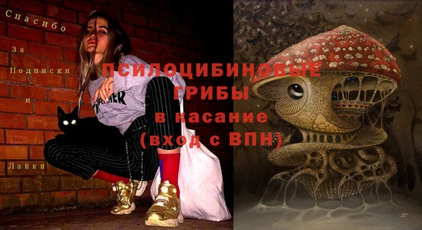 твердый Армянск