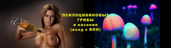 твердый Армянск