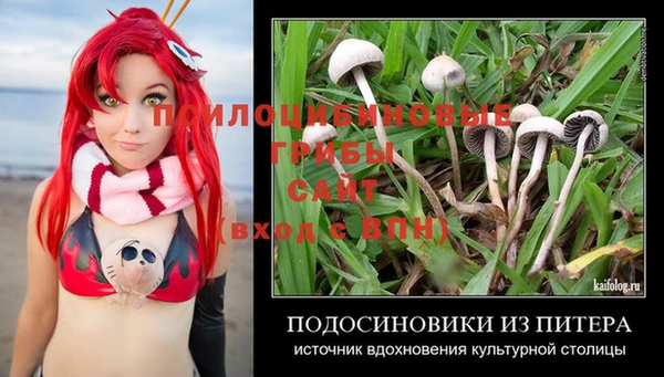 МДПВ Балахна
