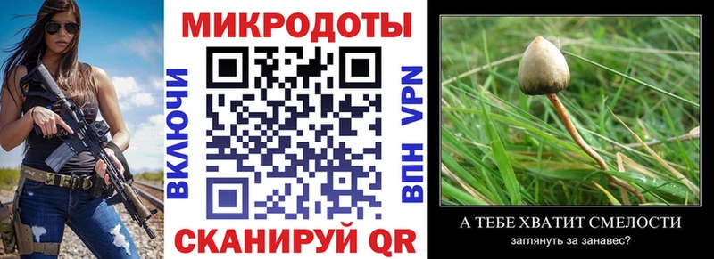 Псилоцибиновые грибы мухоморы Кемерово